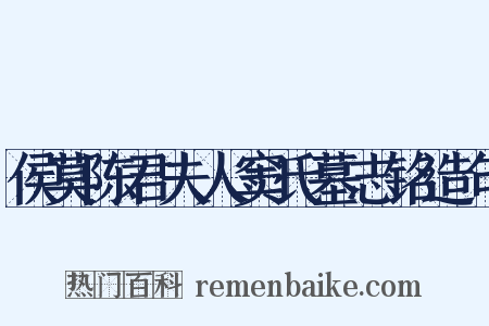 侯莫陈君夫人窦氏墓志铭造句是什么意思的图片